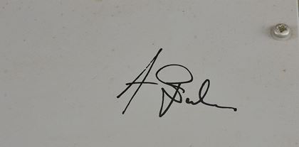 various-Alex BaSS tube drive/EQ/comp s/n 5